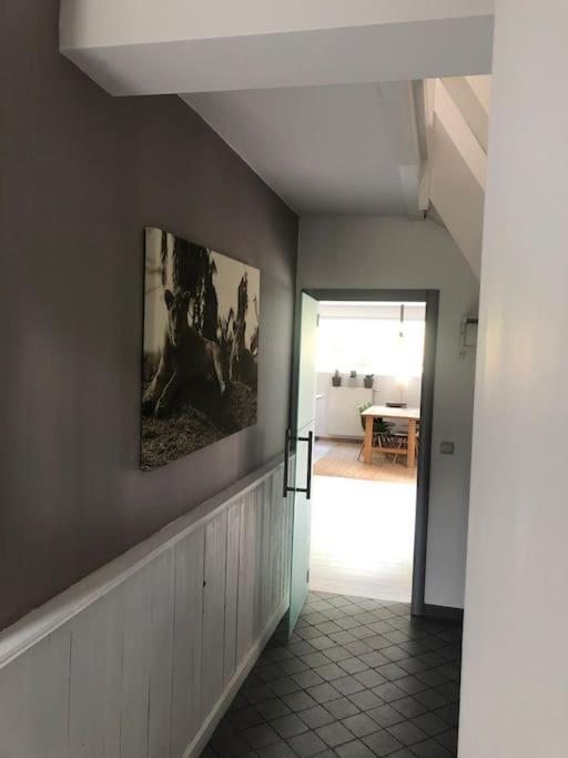 Grande Maison Cozy, Sud, 15 Min Spa Francorchamps ティユー エクステリア 写真