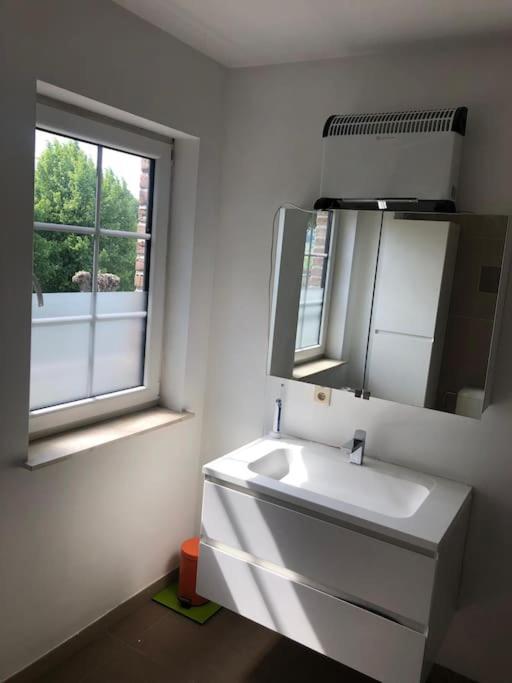 Grande Maison Cozy, Sud, 15 Min Spa Francorchamps ティユー エクステリア 写真