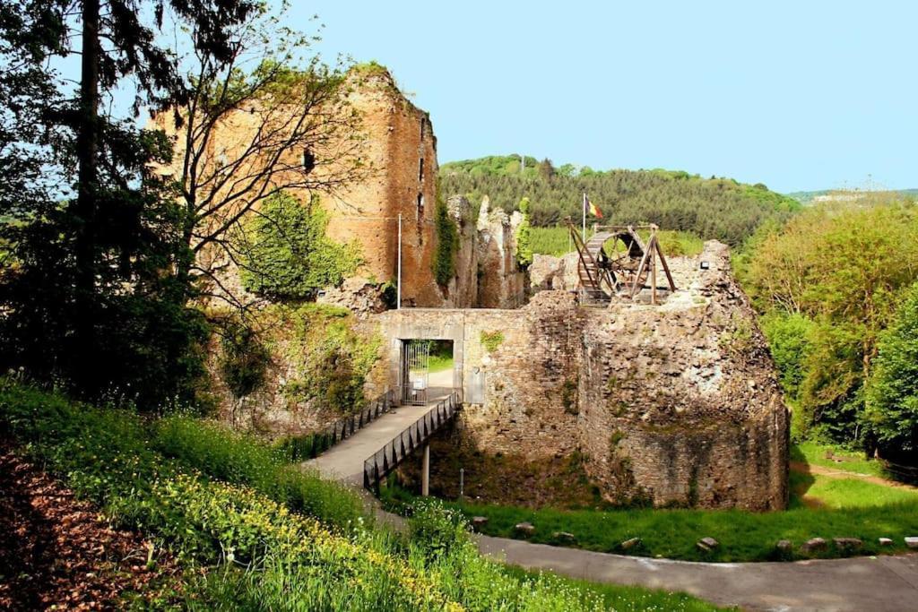 Grande Maison Cozy, Sud, 15 Min Spa Francorchamps ティユー エクステリア 写真